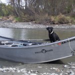 Kenai River drift boat with puppy