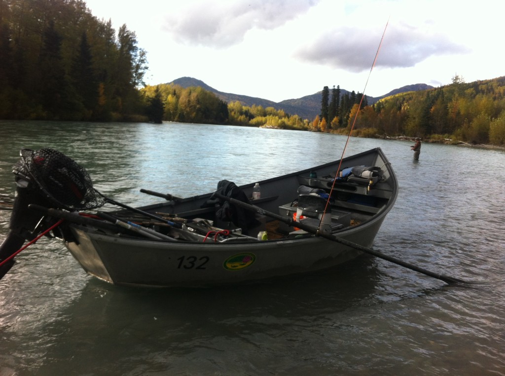 Upper Kenai River Fishing trips